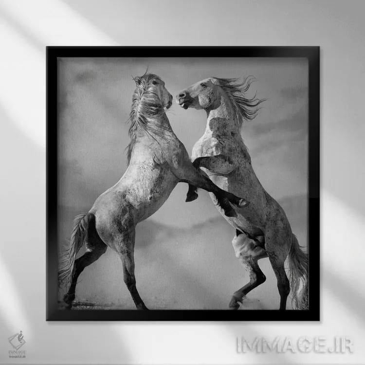تابلو دکوراتیو چالشگران اثر لیزا دیرینگ - نمای قابدار مشکی