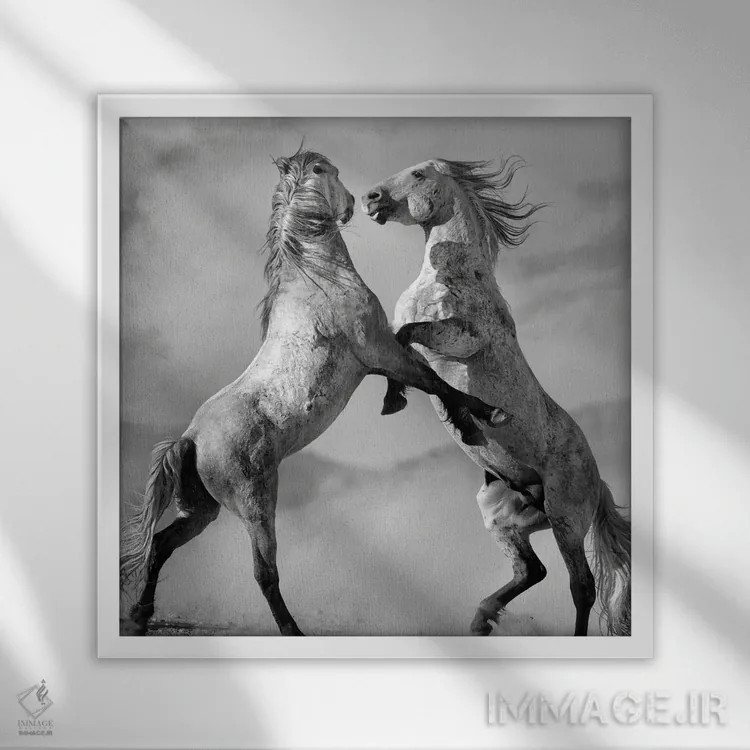 تابلو دکوراتیو چالشگران اثر لیزا دیرینگ - نمای قابدار سفید