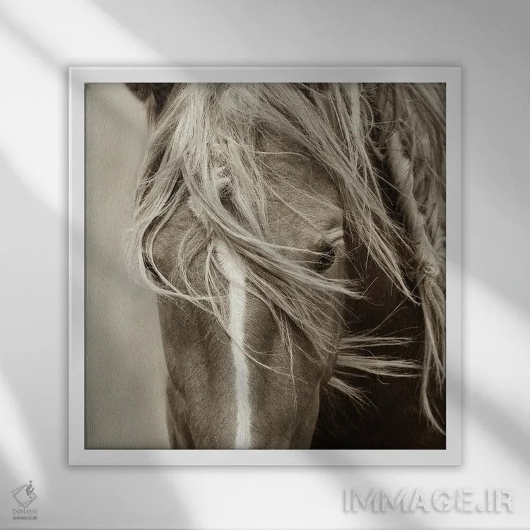 تابلو دکوراتیو گره های باد اثر لیزا دیرینگ - نمای قابدار سفید