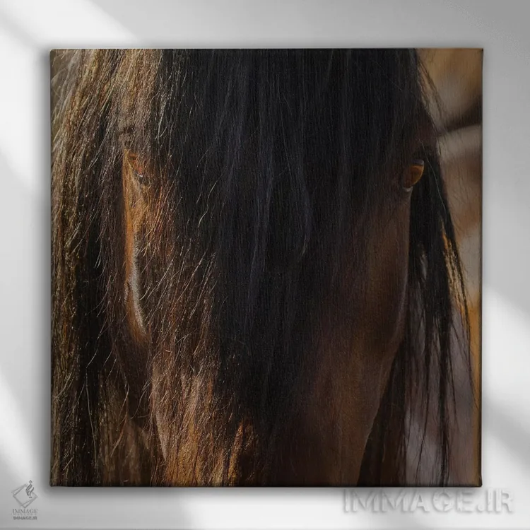 تابلو دکوراتیو چشم ها اثر سالی لیندن - نمای روبهرو روی دیوار