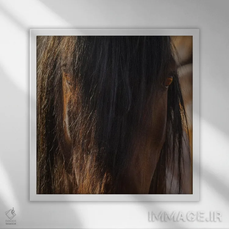 تابلو دکوراتیو چشم ها اثر سالی لیندن - نمای قابدار سفید