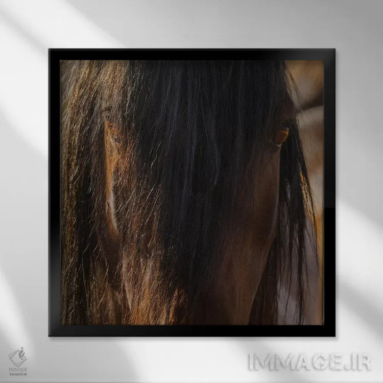 تابلو دکوراتیو چشم ها اثر سالی لیندن - نمای قابدار مشکی