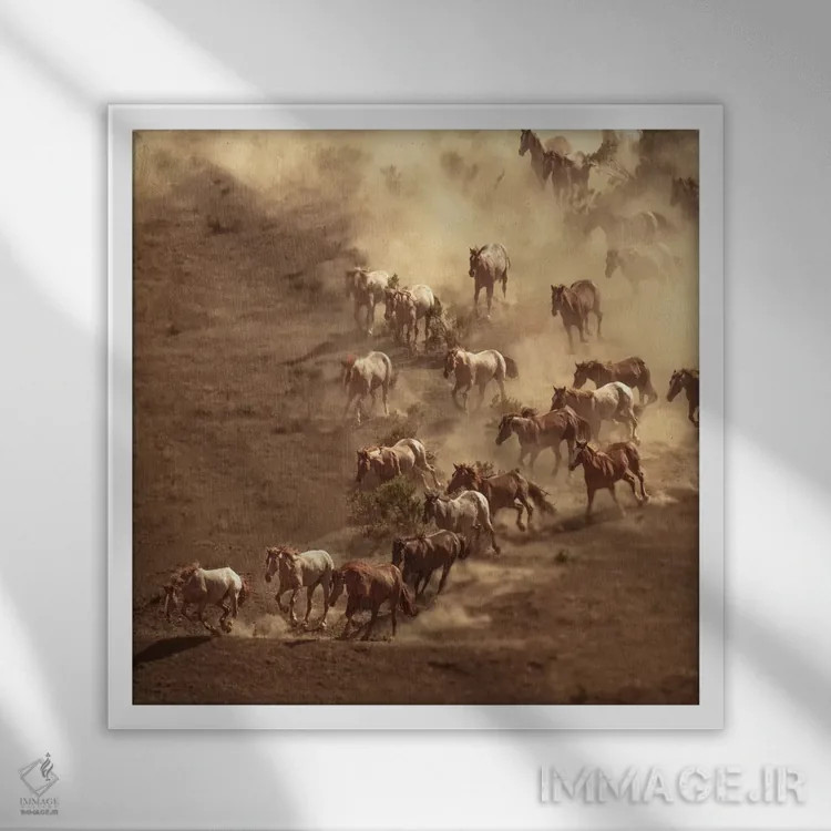 تابلو دکوراتیو غبارآلود اثر سالی لیندن - نمای قابدار سفید