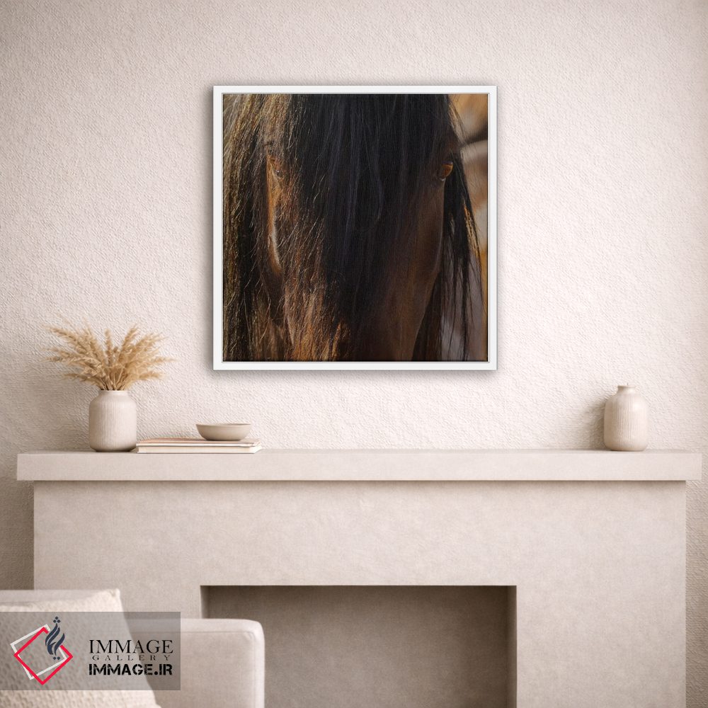 تابلو دکوراتیو چشم ها اثر سالی لیندن - D1W