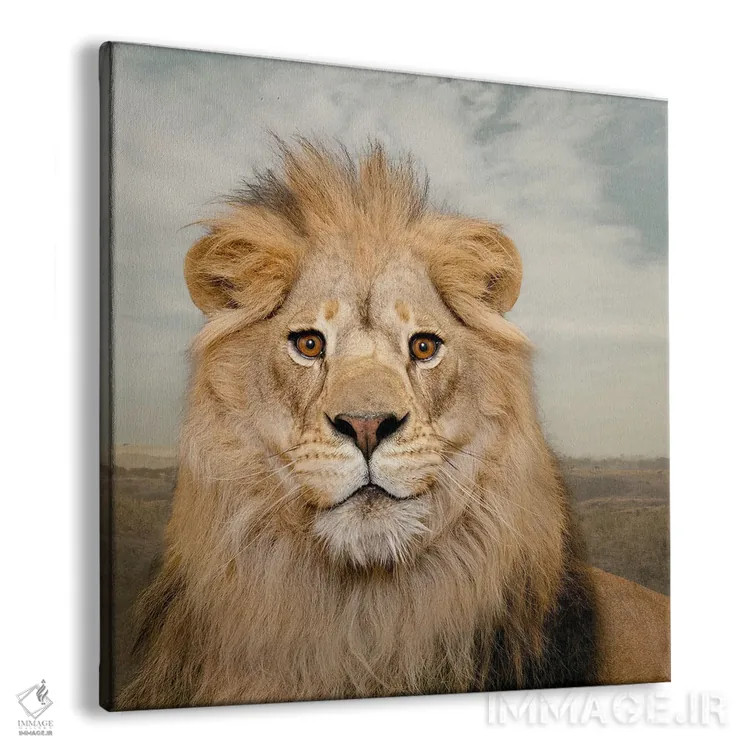 تابلو دکوراتیو شیر خرسند اثر لوند روزر - نمای پرسپکتیو محصول