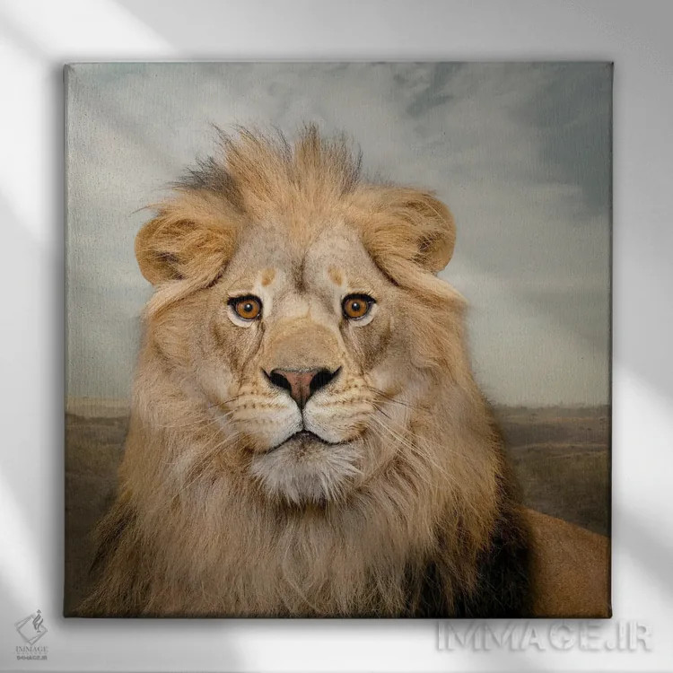 تابلو دکوراتیو شیر خرسند اثر لوند روزر - نمای روبهرو روی دیوار