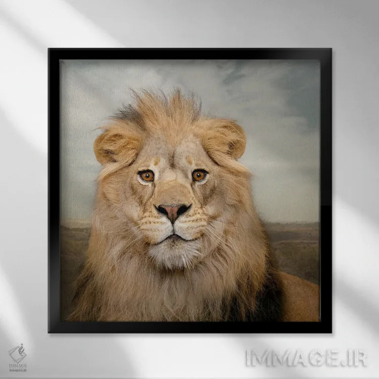 تابلو دکوراتیو شیر خرسند اثر لوند روزر - نمای قابدار مشکی