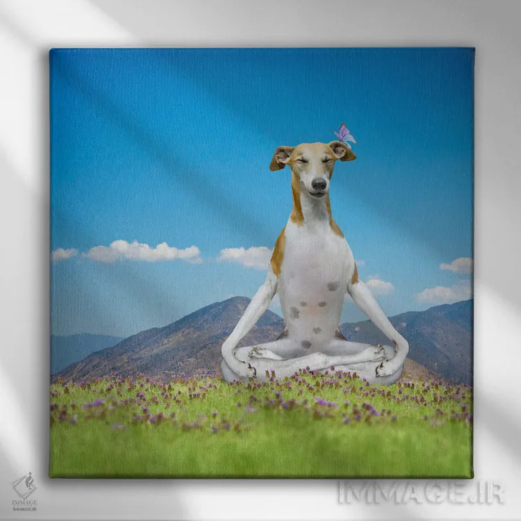 تابلو دکوراتیو توله سگ آرام اثر لوند روزر - نمای روبهرو روی دیوار