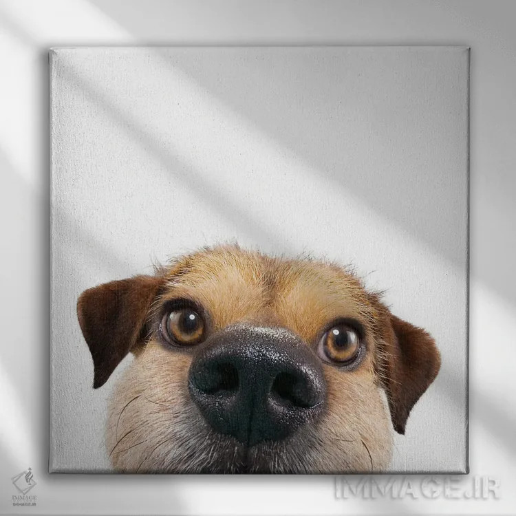 تابلو دکوراتیو دالی موشه اثر لوند روزر - نمای روبهرو روی دیوار