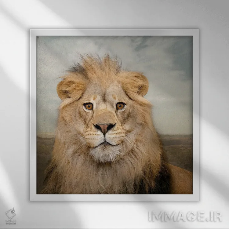 تابلو دکوراتیو شیر خرسند اثر لوند روزر - نمای قابدار سفید