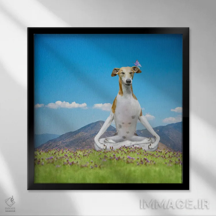 تابلو دکوراتیو توله سگ آرام اثر لوند روزر - نمای قابدار مشکی