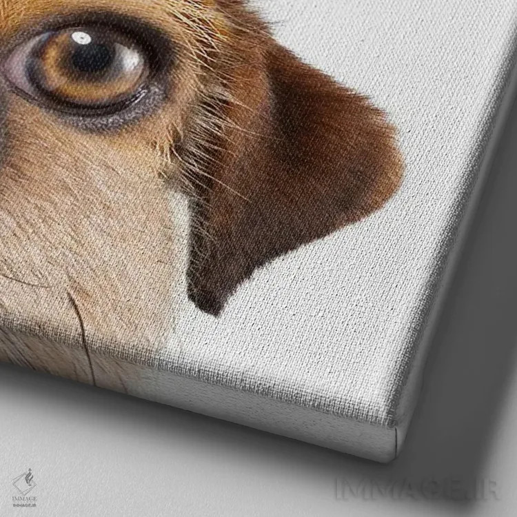 تابلو دکوراتیو دالی موشه اثر لوند روزر - نمای نزدیک بافت بوم