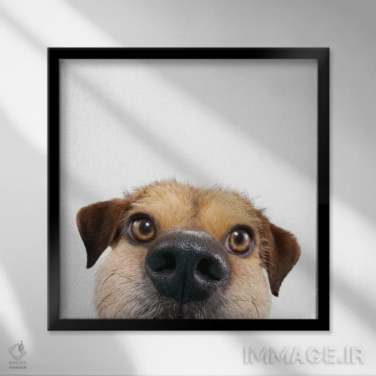 تابلو دکوراتیو دالی موشه اثر لوند روزر - نمای قابدار مشکی