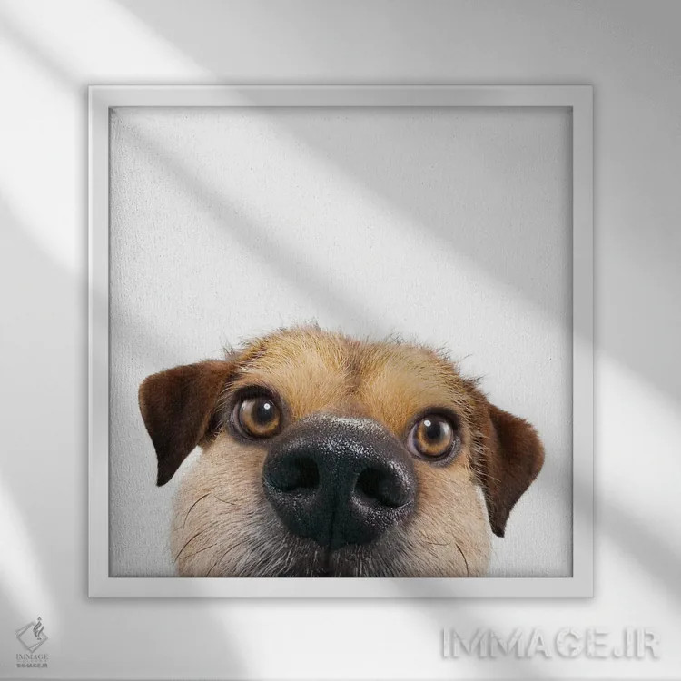 تابلو دکوراتیو دالی موشه اثر لوند روزر - نمای قابدار سفید