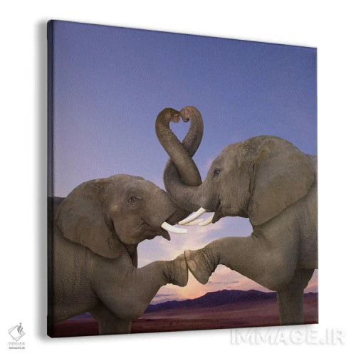 تابلو دکوراتیو خرطوم های تاب خورده اثر لوند روزر - نمای پرسپکتیو محصول