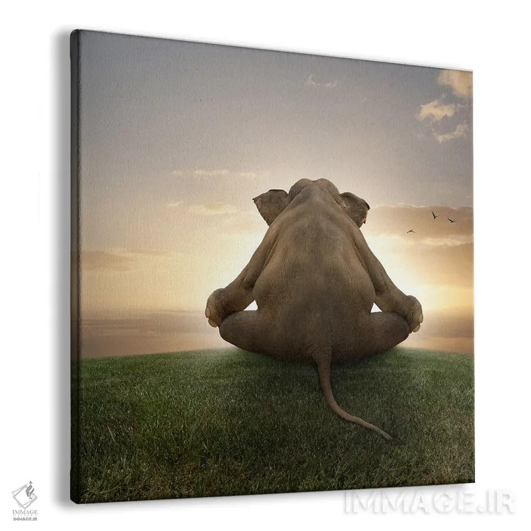 تابلو دکوراتیو فیل در حال مدیتیشن اثر لوند روزر - نمای پرسپکتیو محصول