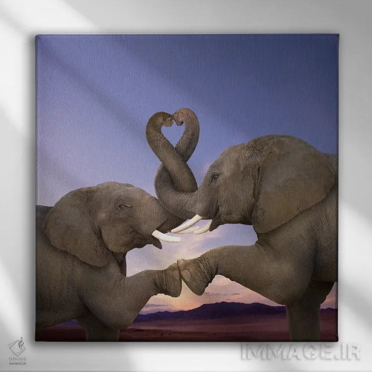 تابلو دکوراتیو خرطوم های تاب خورده اثر لوند روزر - نمای روبهرو روی دیوار