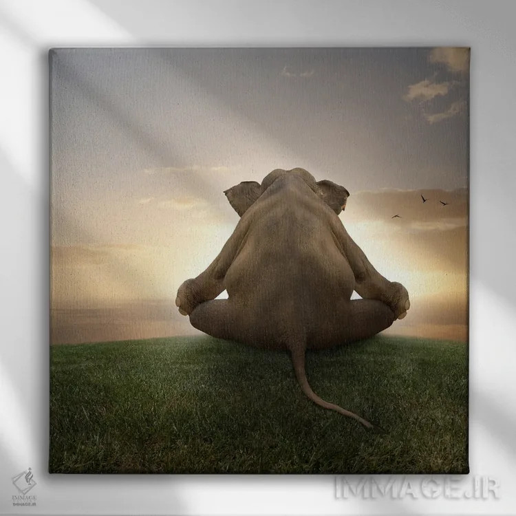 تابلو دکوراتیو فیل در حال مدیتیشن اثر لوند روزر - نمای روبهرو روی دیوار