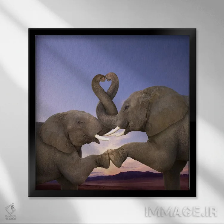 تابلو دکوراتیو خرطوم های تاب خورده اثر لوند روزر - نمای قابدار مشکی