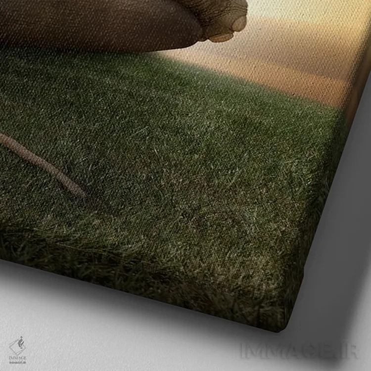 تابلو دکوراتیو فیل در حال مدیتیشن اثر لوند روزر - نمای نزدیک بافت بوم