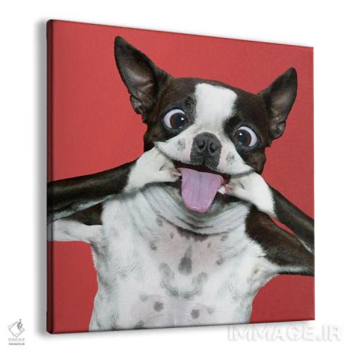 تابلو دکوراتیو دردسر تریر اثر لوند روزر - نمای پرسپکتیو محصول