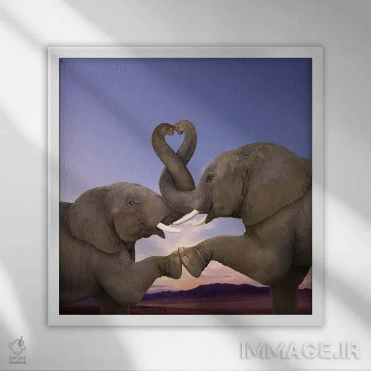 تابلو دکوراتیو خرطوم های تاب خورده اثر لوند روزر - نمای قابدار سفید