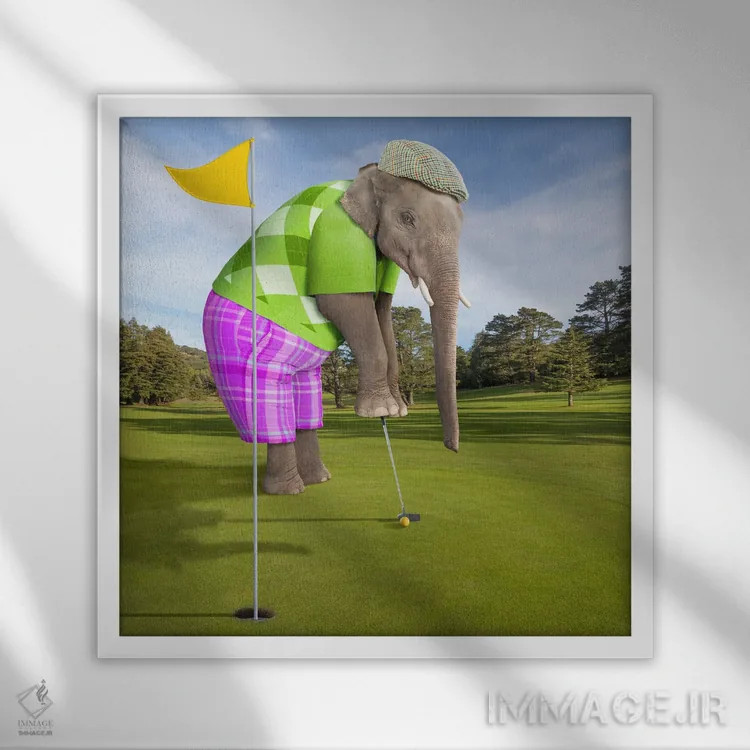 تابلو دکوراتیو فیل گلف باز اثر لوند روزر - نمای قابدار سفید