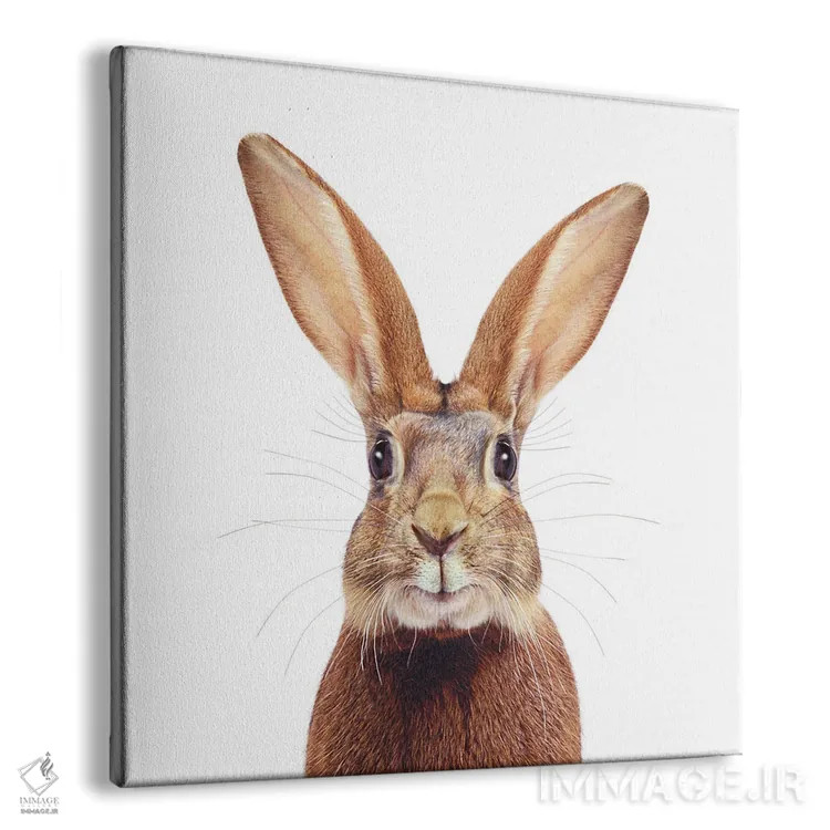 تابلو دکوراتیو خرگوش قهوه ای اثر لوند روزر - نمای پرسپکتیو محصول