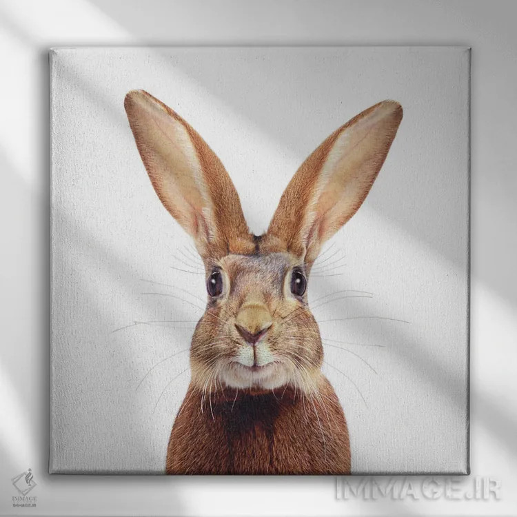تابلو دکوراتیو خرگوش قهوه ای اثر لوند روزر - نمای روبهرو روی دیوار