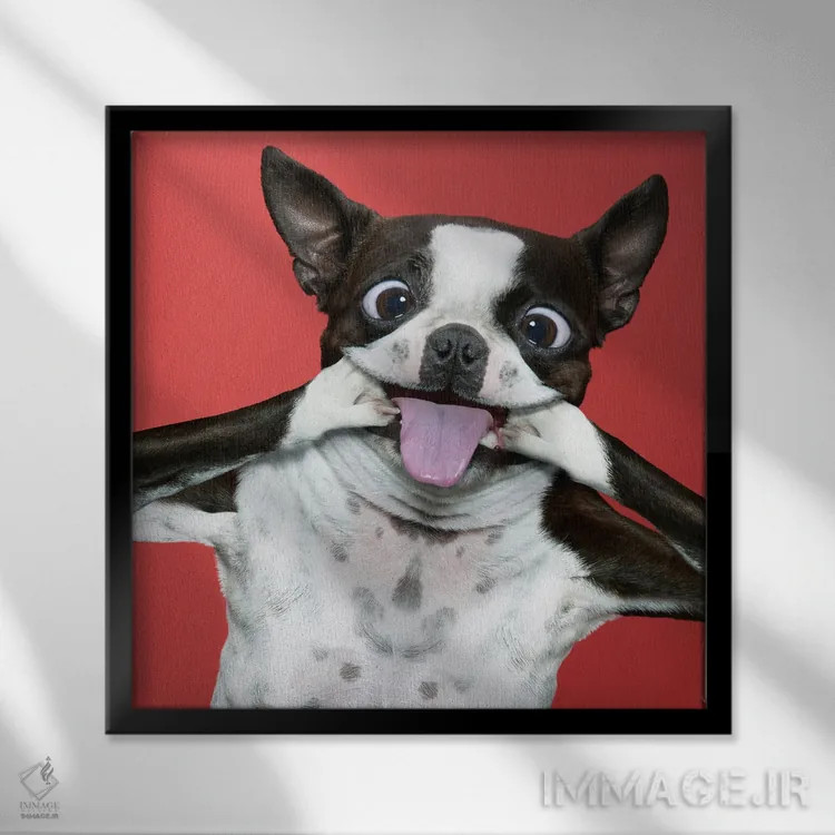 تابلو دکوراتیو دردسر تریر اثر لوند روزر - نمای قابدار مشکی