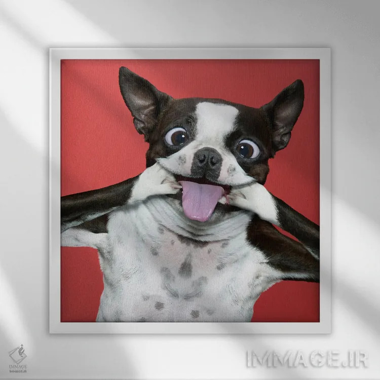 تابلو دکوراتیو دردسر تریر اثر لوند روزر - نمای قابدار سفید