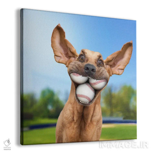 تابلو دکوراتیو سگ توپ دوست یا توپ باز اثر لوند روزر - نمای پرسپکتیو محصول