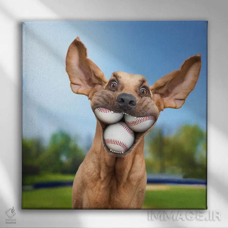 تابلو دکوراتیو سگ توپ دوست یا توپ باز اثر لوند روزر - نمای روبهرو روی دیوار