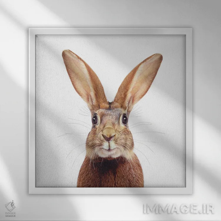 تابلو دکوراتیو خرگوش قهوه ای اثر لوند روزر - نمای قابدار سفید