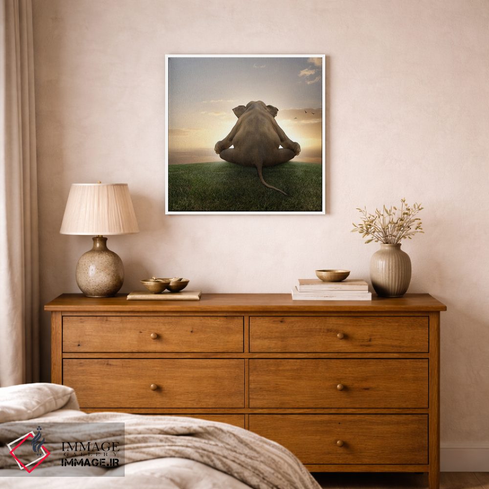 تابلو دکوراتیو فیل در حال مدیتیشن اثر لوند روزر - D1W