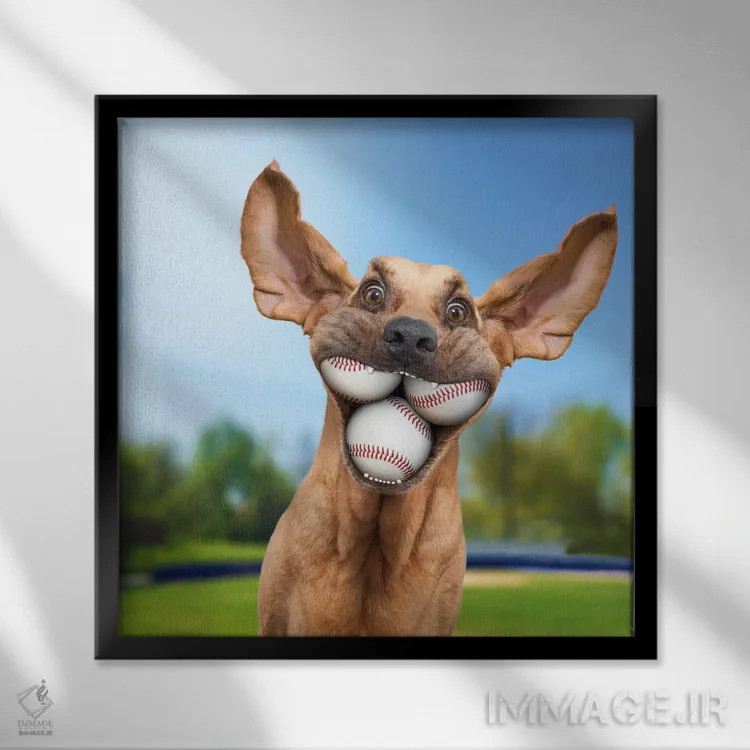 تابلو دکوراتیو سگ توپ دوست یا توپ باز اثر لوند روزر - نمای قابدار مشکی