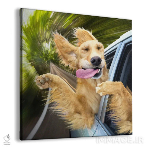 تابلو دکوراتیو بهشت سگ ها اثر لوند روزر - نمای پرسپکتیو محصول