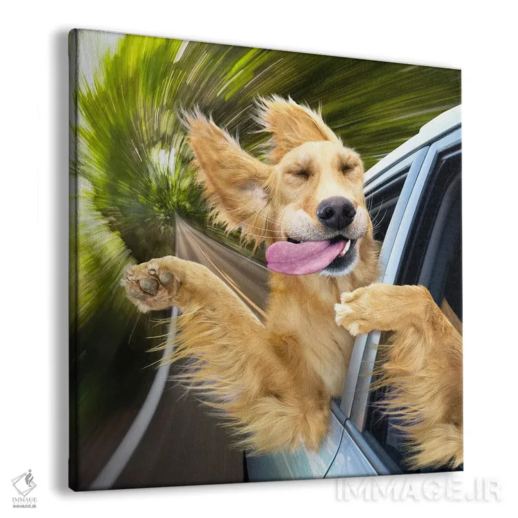 تابلو دکوراتیو بهشت سگ ها اثر لوند روزر - نمای پرسپکتیو محصول
