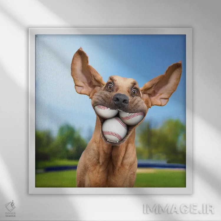 تابلو دکوراتیو سگ توپ دوست یا توپ باز اثر لوند روزر - نمای قابدار سفید