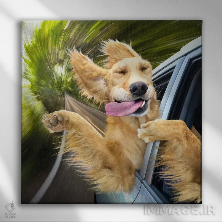 تابلو دکوراتیو بهشت سگ ها اثر لوند روزر - نمای روبهرو روی دیوار