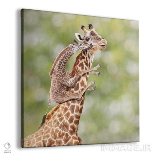 تابلو دکوراتیو مادر و بچه زرافه اثر لوند روزر - نمای پرسپکتیو محصول
