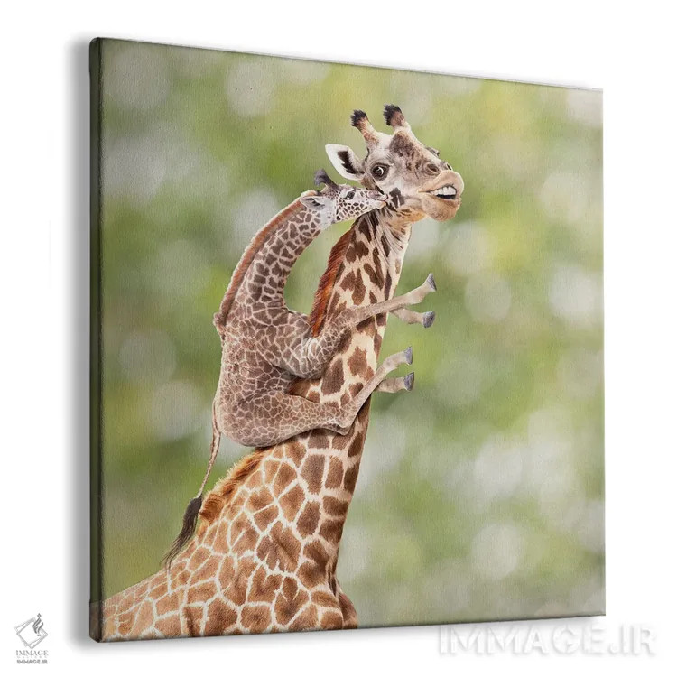 تابلو دکوراتیو مادر و بچه زرافه اثر لوند روزر - نمای پرسپکتیو محصول