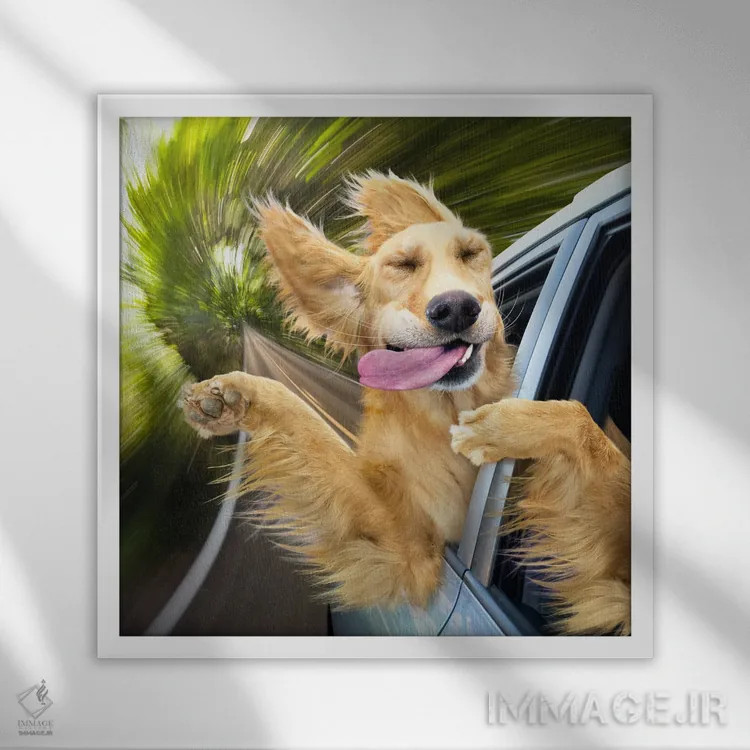 تابلو دکوراتیو بهشت سگ ها اثر لوند روزر - نمای قابدار سفید