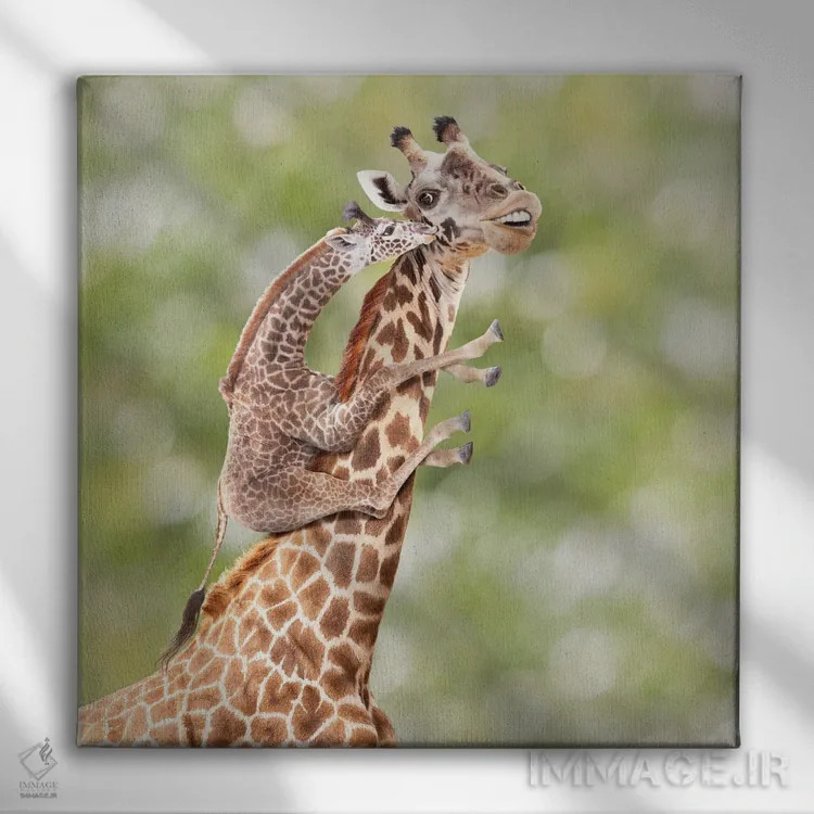 تابلو دکوراتیو مادر و بچه زرافه اثر لوند روزر - نمای روبهرو روی دیوار