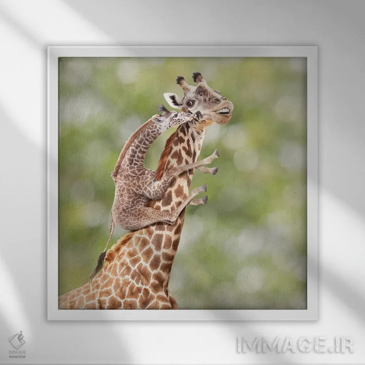 تابلو دکوراتیو مادر و بچه زرافه اثر لوند روزر - نمای قابدار سفید