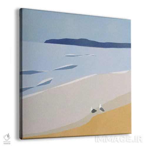 تابلو مینیمال مرغان دریایی در ساحل اثر لیتل باور - نمای پرسپکتیو محصول