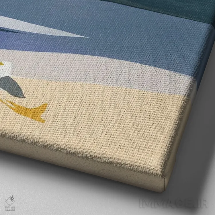 تابلو مینیمال آفتاب گرفتن مرغ دریایی اثر لیتل باور - نمای نزدیک بافت بوم