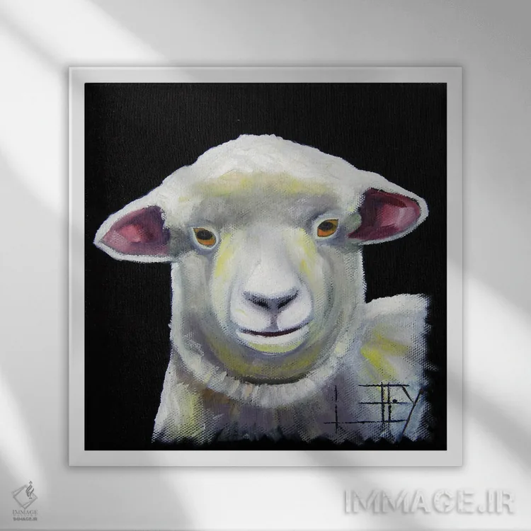 تابلو دکوراتیو بره نیوزیلند اثر لیزا الی - نمای قابدار سفید