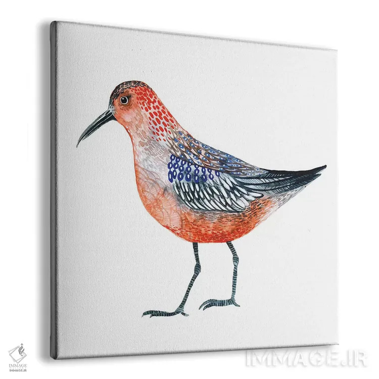 تابلو دکوراتیو پرنده قرمز اثر لسیا بینکین - نمای پرسپکتیو محصول