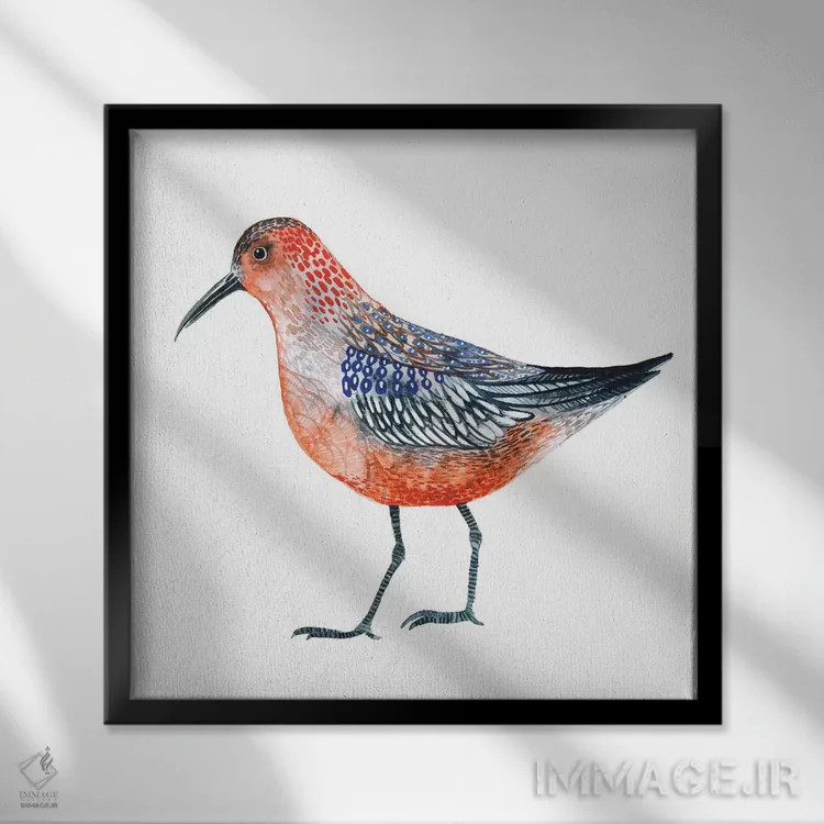 تابلو دکوراتیو پرنده قرمز اثر لسیا بینکین - نمای قابدار مشکی